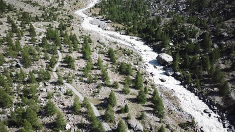 瑞士阿尔卑斯山山谷,松树林和山溪,无人机空中视图