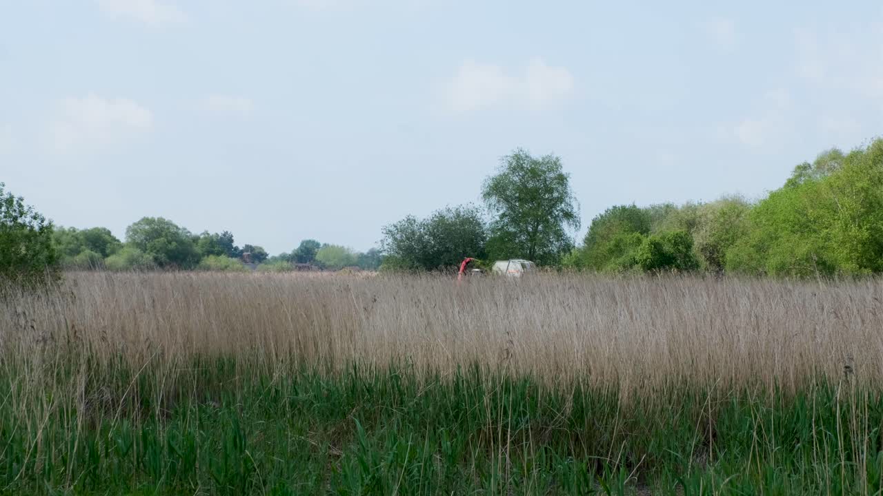 Cut and collect harvesting agricultural machine working at nature reserve on Somerset Levels, West Country of England UK