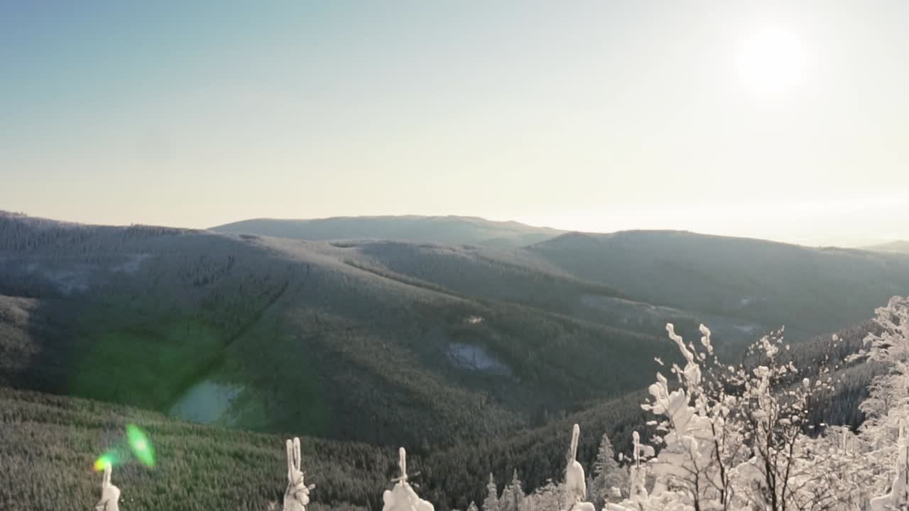 Aerial wide shot showing czech mountains overgrown with trees during sunny bright day in winter. Snowy branches pf plants in foreground.