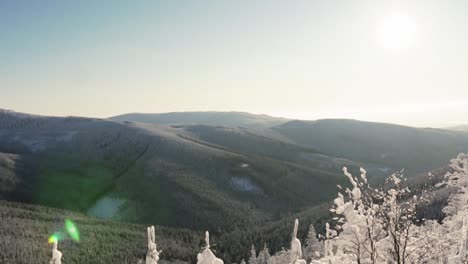 aerial wide shot showing czech mountains overgrown with trees during sunny bright day in winter. snowy branches pf plants in foreground.