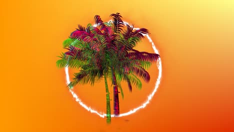 ring of fire and palm tree