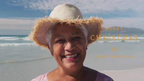 animation of merry christmas and new year text over happy biracial senior woman on sunny beach