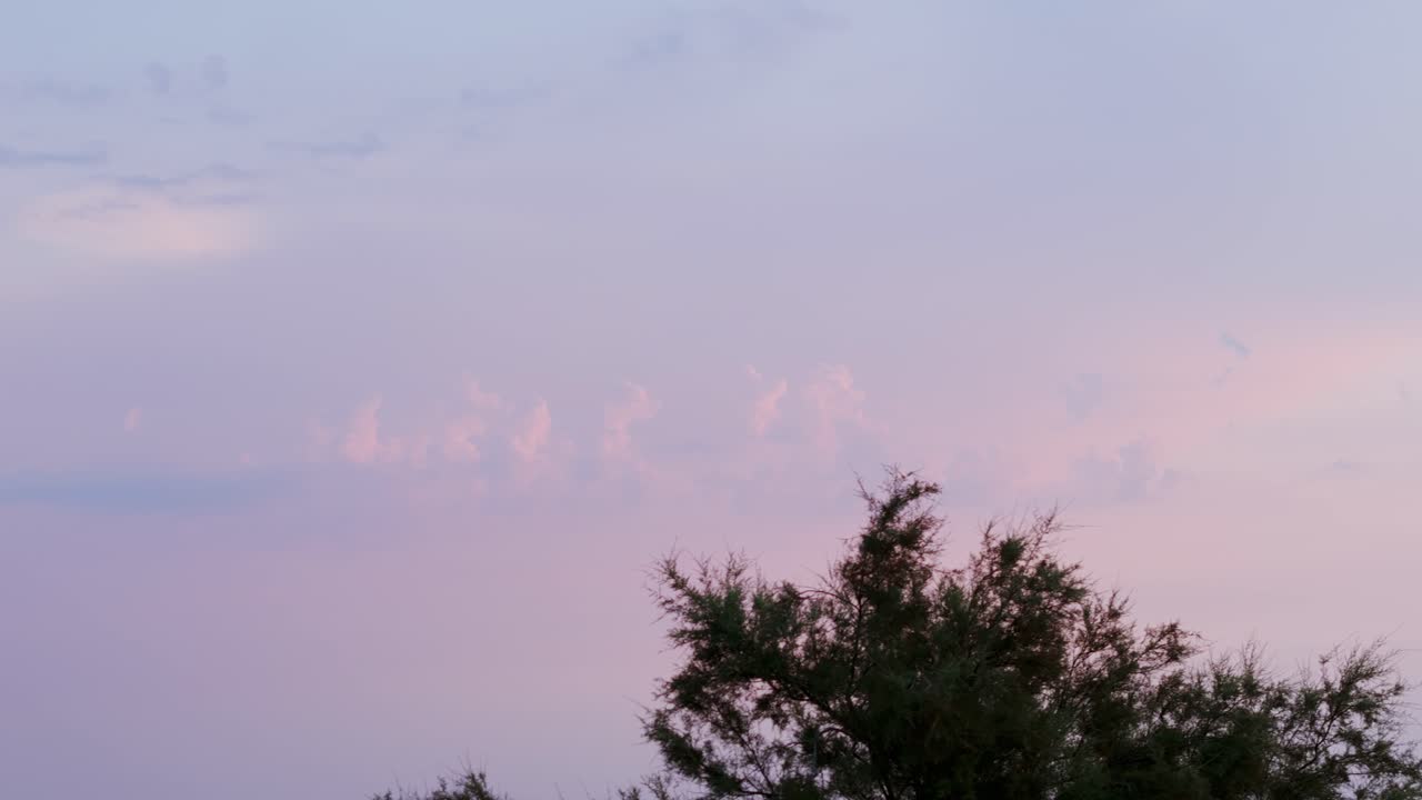 오트란토, 푸글리아, 이탈리아 - 바우사이트 동굴 근처에 위치한 해가 지는 하늘을 배경으로 한 나무 - 공중 드론 촬영