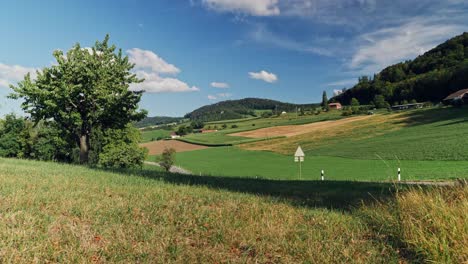 Natur-Im-Baselland-In-Der-Schweiz-6