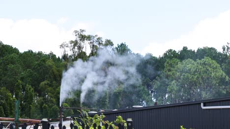 smoke dissipating above trees and buildings