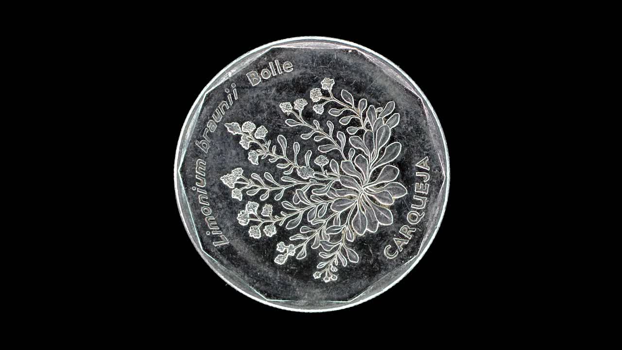 Cape Verde 1994 20 escudos coin reverse with Limonium brunneri Carqueja plant rotating on black background