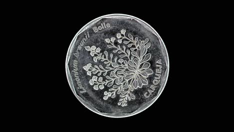 cape verde 1994 20 escudos coin reverse with limonium brunneri carqueja plant rotating on black background