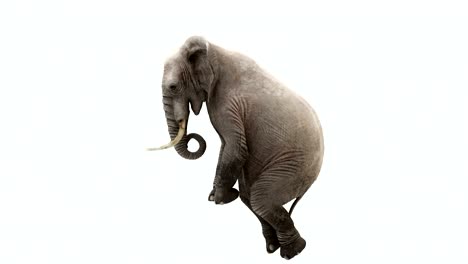 cg rendering of the flying elephant. loop animation.