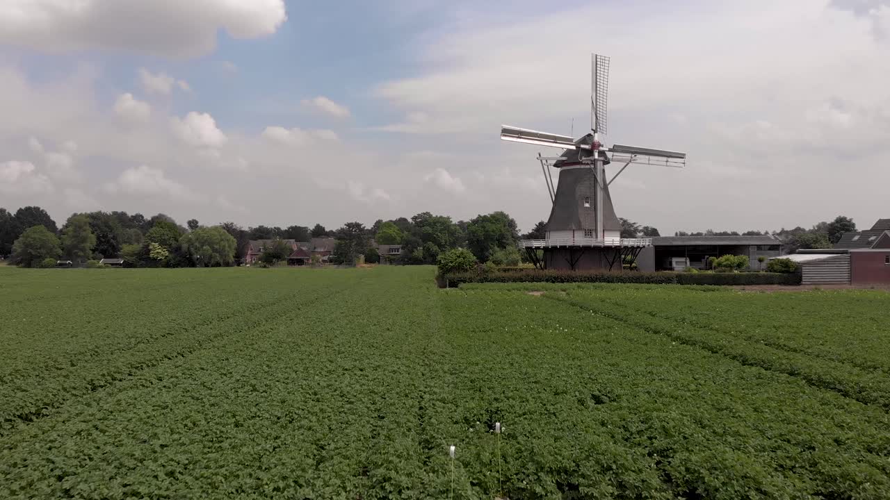 푸른 하늘과 회화적 적운 구름이 배경에 있는 농업 분야 위에 네덜란드 시골에 심지가 있는 전형적인 그림 같은 네덜란드 풍차의 공중 접근