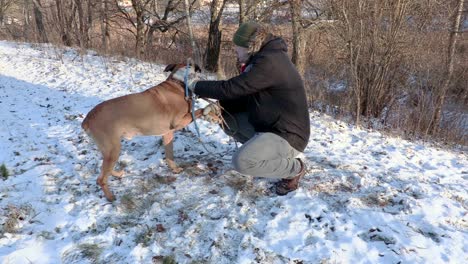 man teaches the dog to give paw