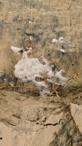 waves crash against a sandy shore, illustrating erosion and pollution during cyclone alfred. the scene captures dynamic water movement and environmental impact