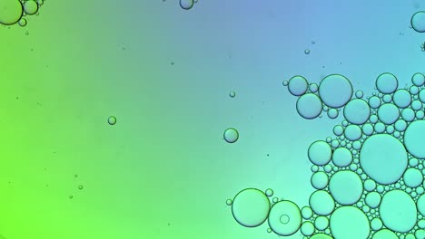 abstract colorful food oil drops bubbles and spheres flowing