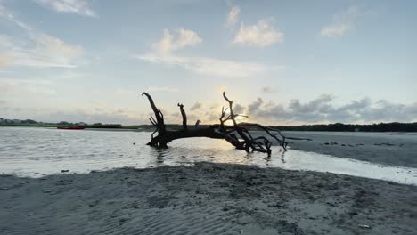 piscina de marea de la isla durante la puesta de sol costera