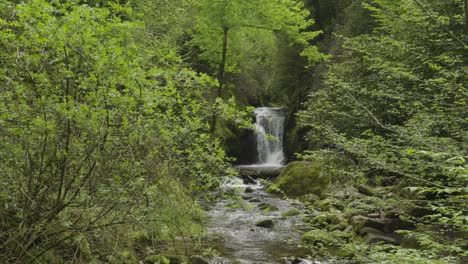 Mesmerizing-waterfall-gracefully-cascades-down,surrounded-by-lush-greenery