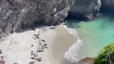 Point-Lobos-State-Park-in-Monterey,-California