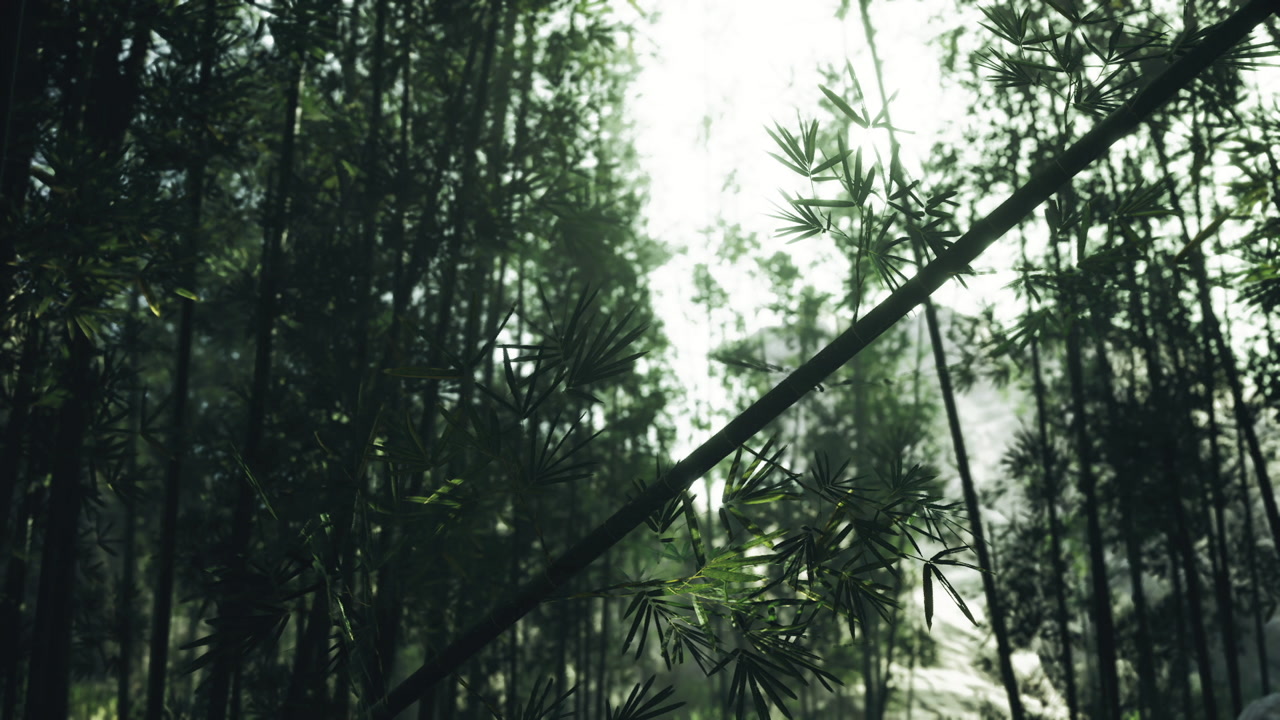 Vertical bamboo forms create urban natural scenery with filtered light effects