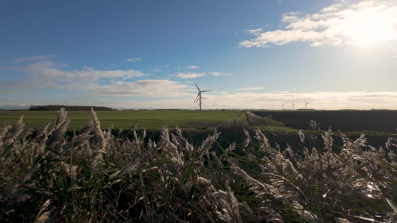 Wide shot of a wind turbine towering over green fields with tall grasses swaying under a clear blue sky on a sunny day