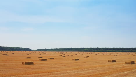 balas de heno en un campo