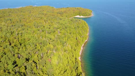 Paradiesinsel-Mit-Grüner-Vegetation,-Umgeben-Von-Kristallklarem-Wasser