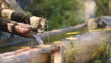 primer plano: idílica fuente de madera alpina tradicional en una ruta de senderismo alpina en austria, tirol