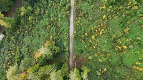 top down view of a straight road cutting throw green hill and trees