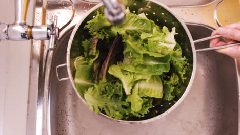 Close-up-on-a-woman-washing-the-lettuce