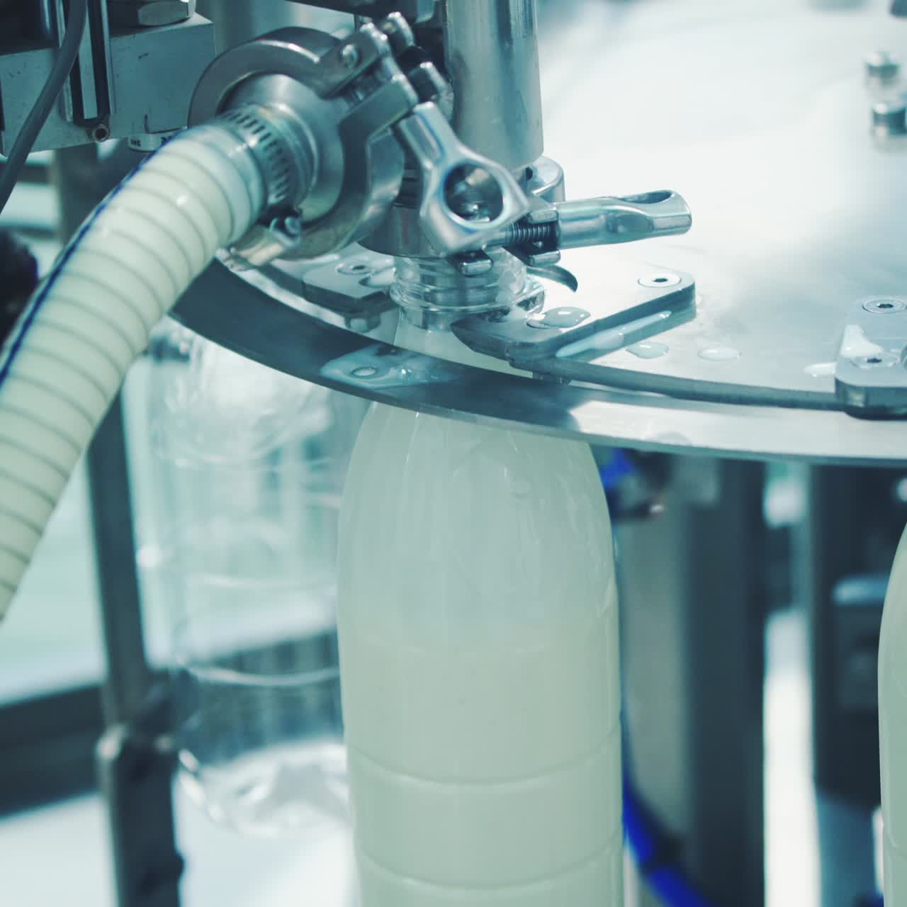 Plastic bottles filling with milk