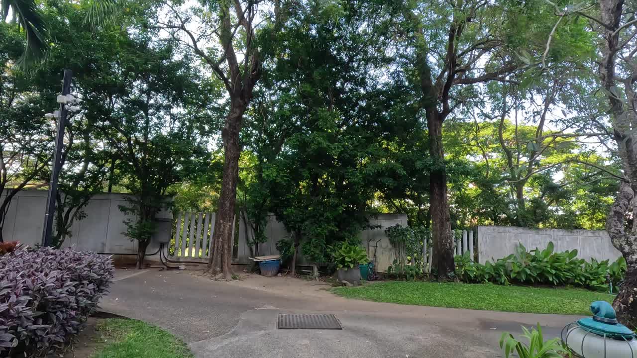 푸른 공원에서 평화로운 산책