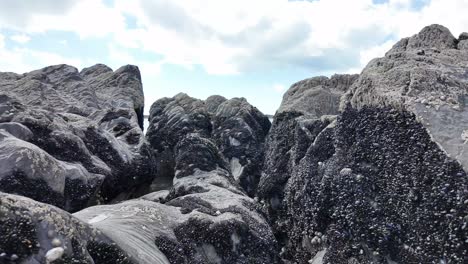 low angle footage of dramatic rocks covered in mussels and sea creatures on a sandy beach in west cork, ireland