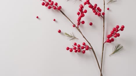 video of christmas decoration with red berries and copy space on white background