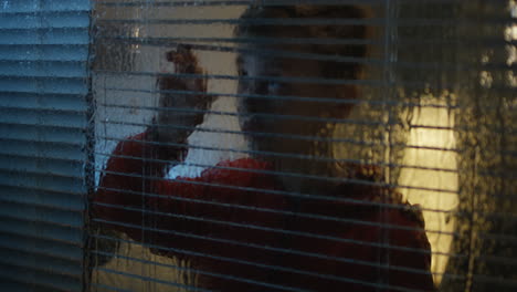 child looking out of a rainy window at night