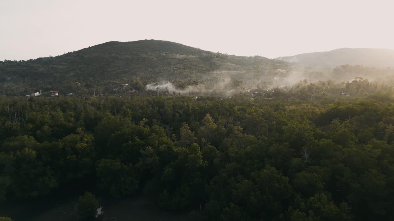 필리핀 세부 (cebu) 의 해안 시설과 함께 새벽에 타로트 아르가오 (talote argao) 항구에서 나무에서 어나오는 안개와 함께 맹그로브 숲 위의 파노라마 항공 도리 (panoramic aerial dolly)