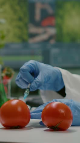 scientist injecting tomatoes in a laboratory for genetic modification research