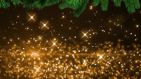 animation of christmas fir tree branches and spots of light on dark background