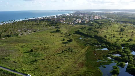 巴西pernambuco的著名旅遊海灘porto de galinhas (雞港) 的美麗熱帶海岸線