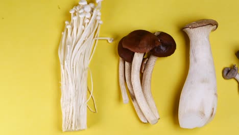 mixed mushroom on chopping board ,