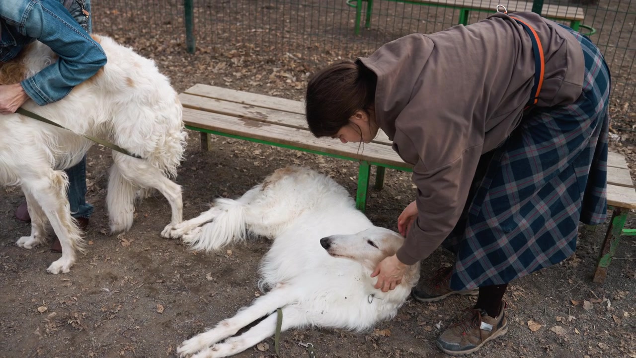 Una donna e un'altra donna interagiscono con cani bianchi in un ambiente esterno. Un cane è sdraiato a terra mentre altri stanno in piedi o sono tenuti in braccio. Il terreno è coperto di terra e foglie, e una panca di legno è visibile.
