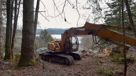 Shot-through-forest-of-excavator-working-with-lake-in-background