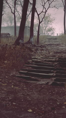 camino abandonado con niebla en un bosque