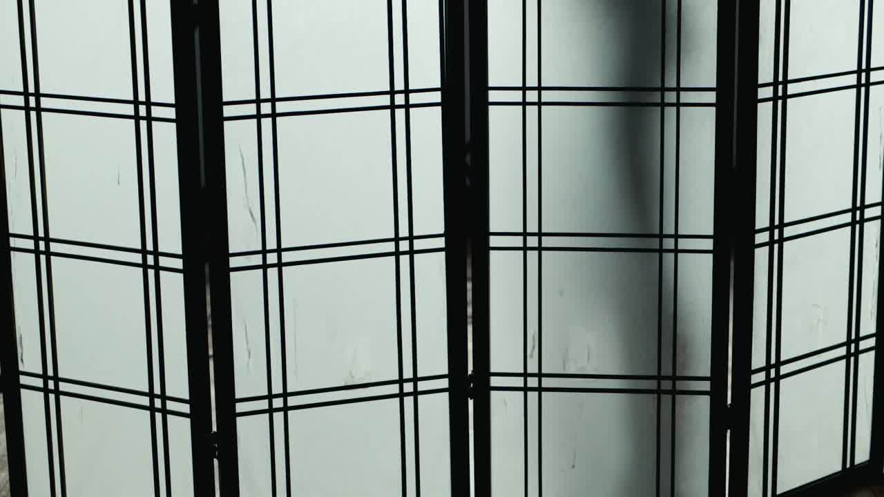 투명 스크린 뒤에서 춤추는 날씬한 여성의 실루엣 1