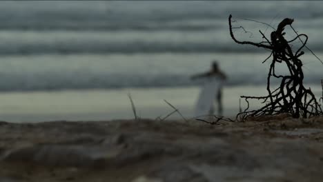 Verschwommener-Surfer-Am-Strand-Mit-Einigen-Stöcken-Im-Vordergrund