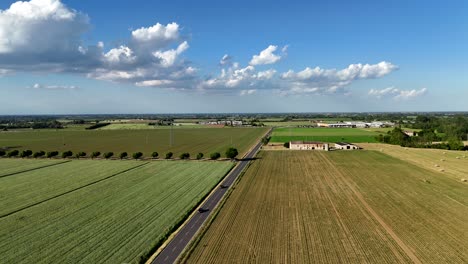 drone travels over uniform rows of cereal crop fields—likely wheat or corn—and nearby vegetable plots ,sweet corn or processing tomatoes, in the rural landscape of alseno, piacenza, northern italy,