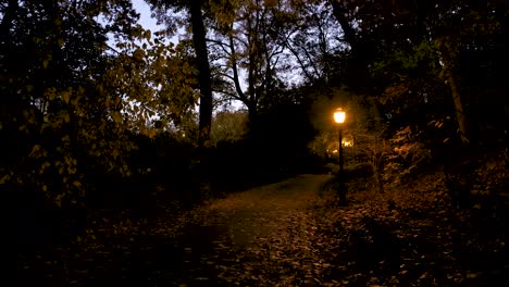 walk down an eerily dark path in a new york city park at sunset, streetlamps are the light