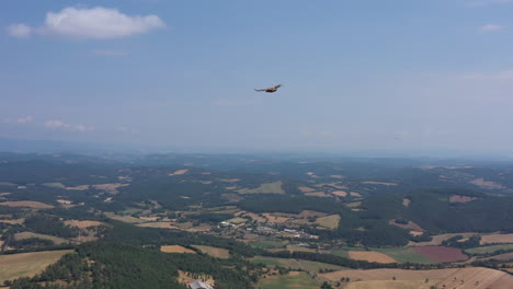 Following-a-bird-of-prey-vulture-gyps-fulvus-over-Causse-limestone-plateau