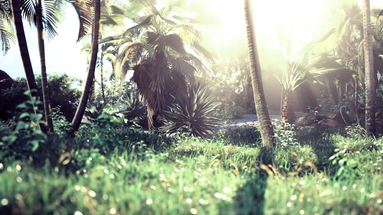 Sunlight filters through lush greenery in a serene tropical landscape