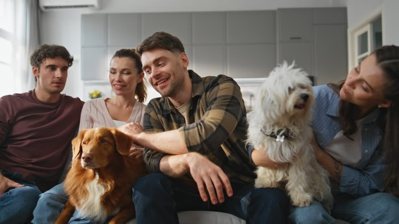 Friendly gathering pets owners at cozy living room. Happy friends sitting home