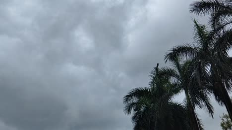 disparo constante, nubes oscuras cubren el área tropical con palmeras balanceándose en el viento, escena típica de la temporada de lluvias