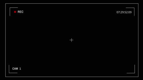 camera viewfinder digital overlay display digital camera and mobile phone recording screen overlay