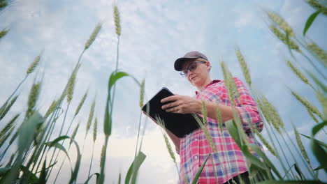 Mujer-Agricultora-Que-Trabaja-En-Un-Campo-De-Trigo-Con-Una-Tableta-De-ángulo-De-Disparo-Inferior