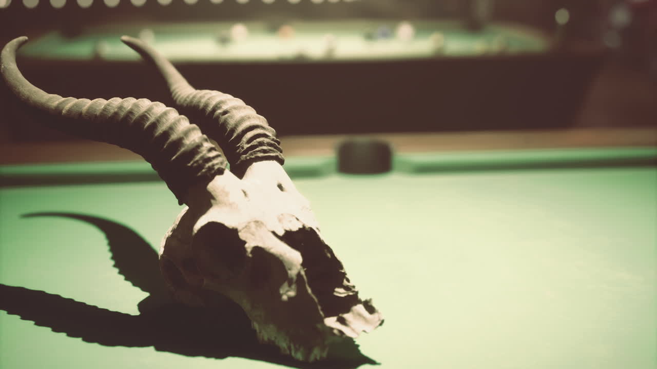Billiard table with decorative skull and horns in a dimly lit room